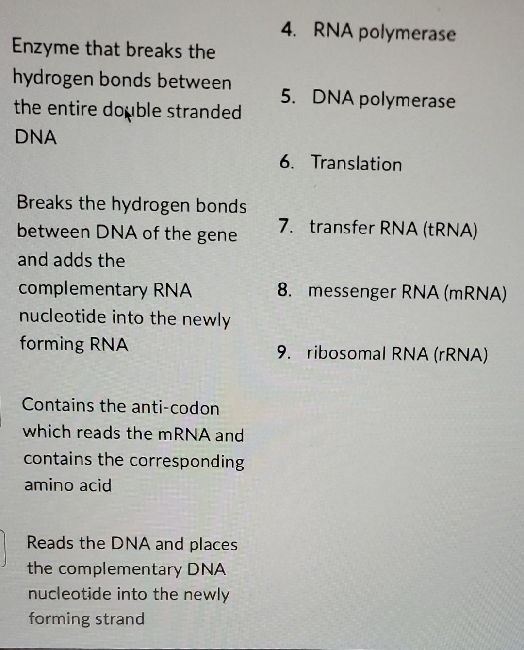 Process Of Using Dna Of A Gene As A Template To Make A Complementary Rna Molecule Interacts With Proteins To Make The Lo 2