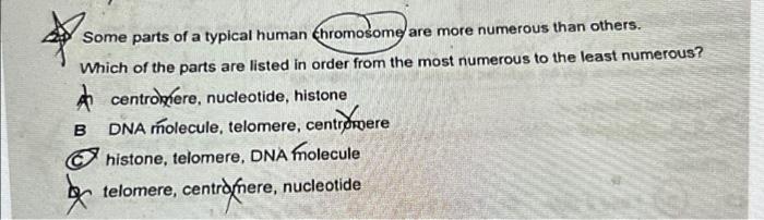 S Some Parts Of A Typical Human Chromosome Are More Numerous Than Others Which Of The Parts Are Listed In Order From Th 1