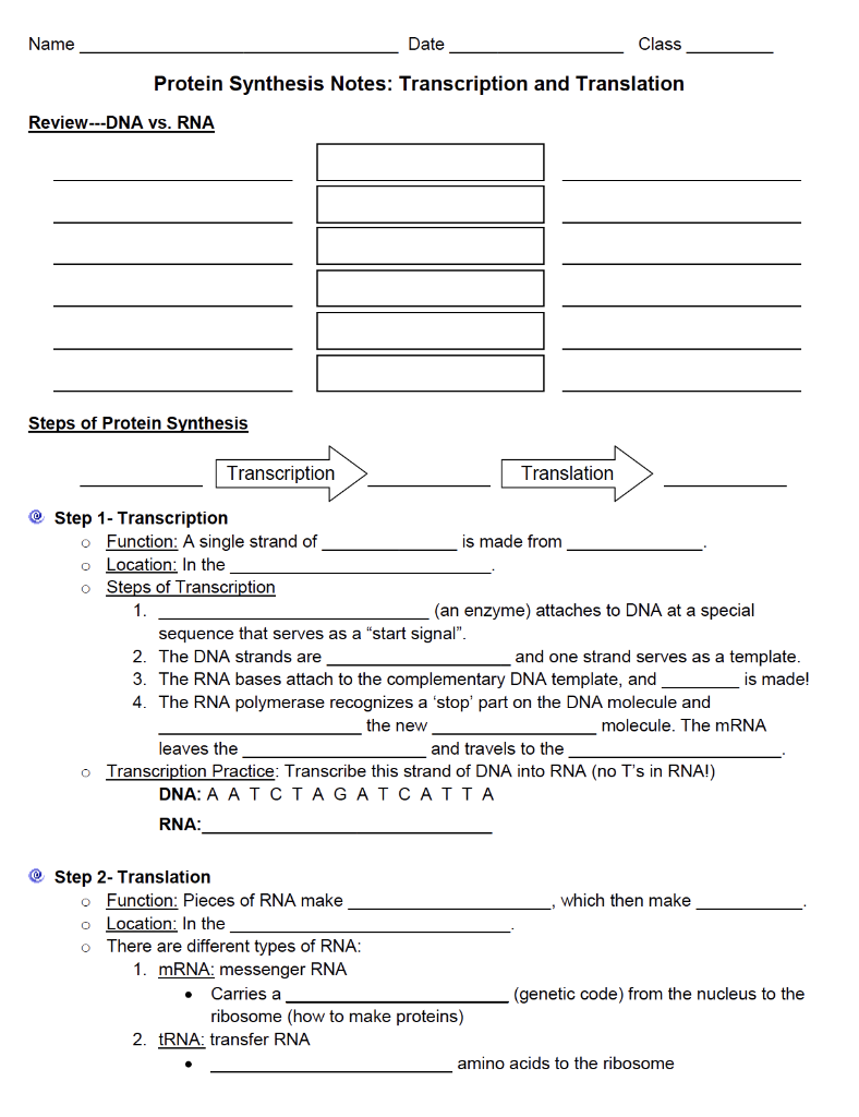 Date Class Protein Synthesis Notes Transcription And Translation Translation Name Review Dna Vs Rna Steps Of Protein 1