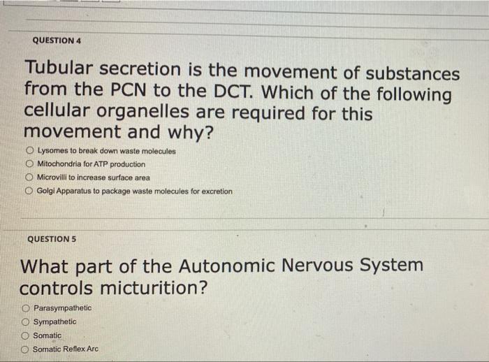 Question 4 Tubular Secretion Is The Movement Of Substances From The Pcn To The Dct Which Of The Following Cellular Orga 1