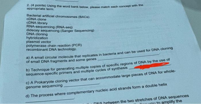2 4 Points Using The Word Bank Below Please Match Each Concept With The Appropriate Term Bacterial Artificial Chrom 1