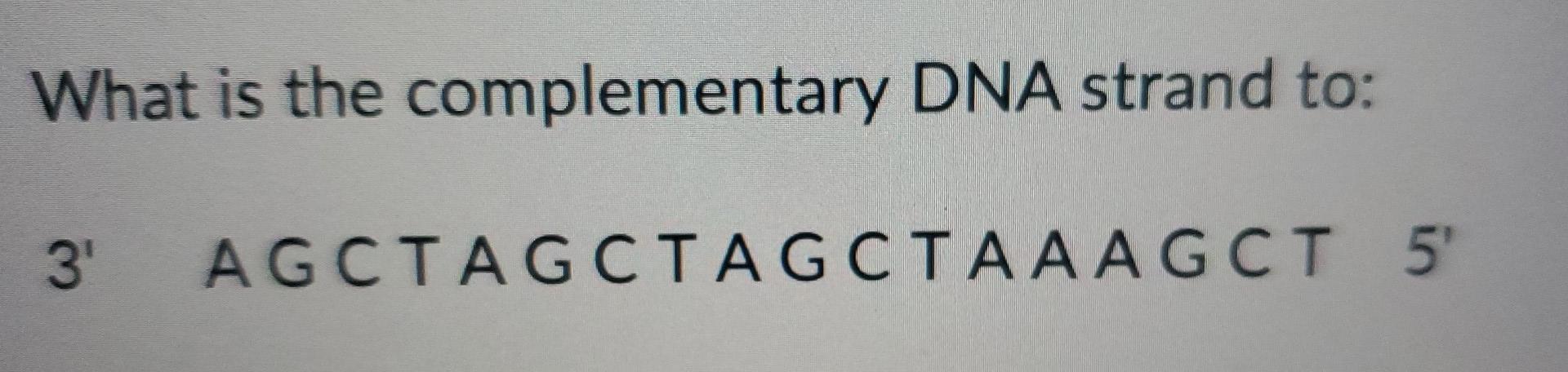 What Is The Complementary Dna Strand To 3 Agctagctagctaaagct 5 1