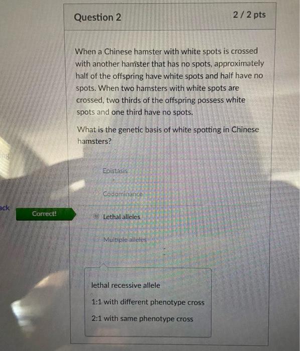 Ack Correct Question 2 2 2 Pts When A Chinese Hamster With White Spots Is Crossed With Another Hamster That Has No Spot 1