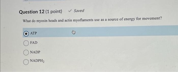 Question 12 1 Point Saved What Do Myosin Heads And Actin Myoflaments Use As A Source Of Energy For Movement Atp Fad N 1