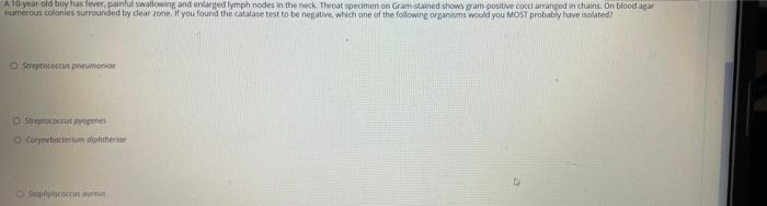 A 10 Year Old Boy Has Fever Painful Swallowing And Enlarged Lymph Nodes In The Neck Throat Specimen On Gram Stained Sh 1