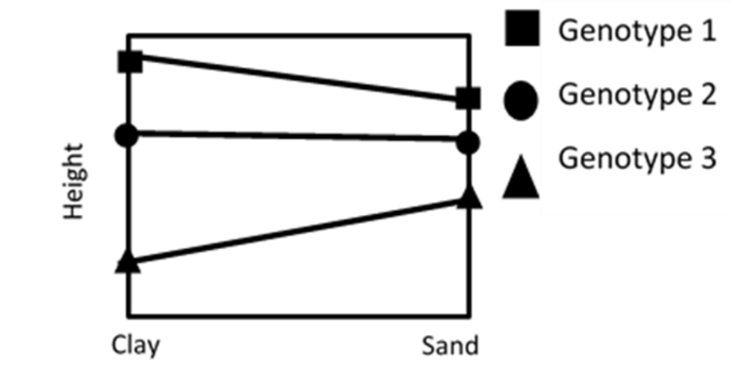 Refer To The Graph At The Right Which Of The Following Genotypes Exhibits The Highest Heritability 1 Genotype 3 2 Ge 1