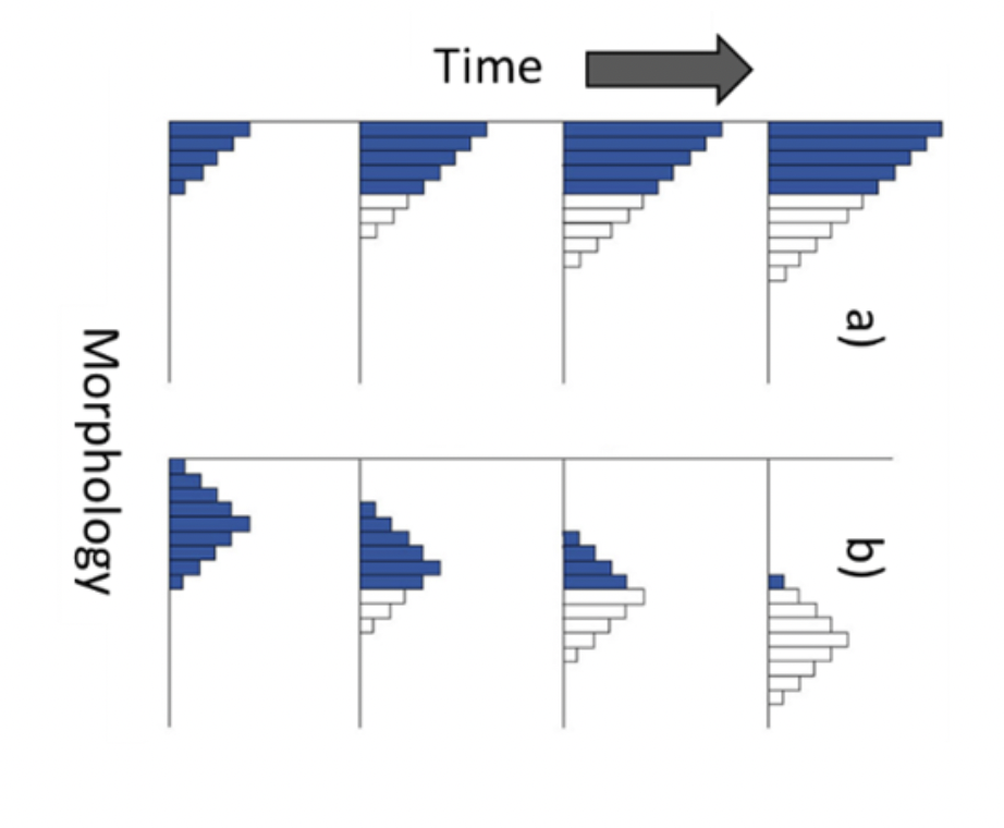 Refer To The Graph At The Right Which Of The Following Genotypes Exhibits The Highest Heritability 1 Genotype 3 2 Ge 2