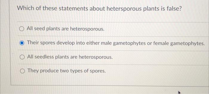 Which Of These Statements About Hetersporous Plants Is False O All Seed Plants Are Heterosporous Their Spores Develop 1