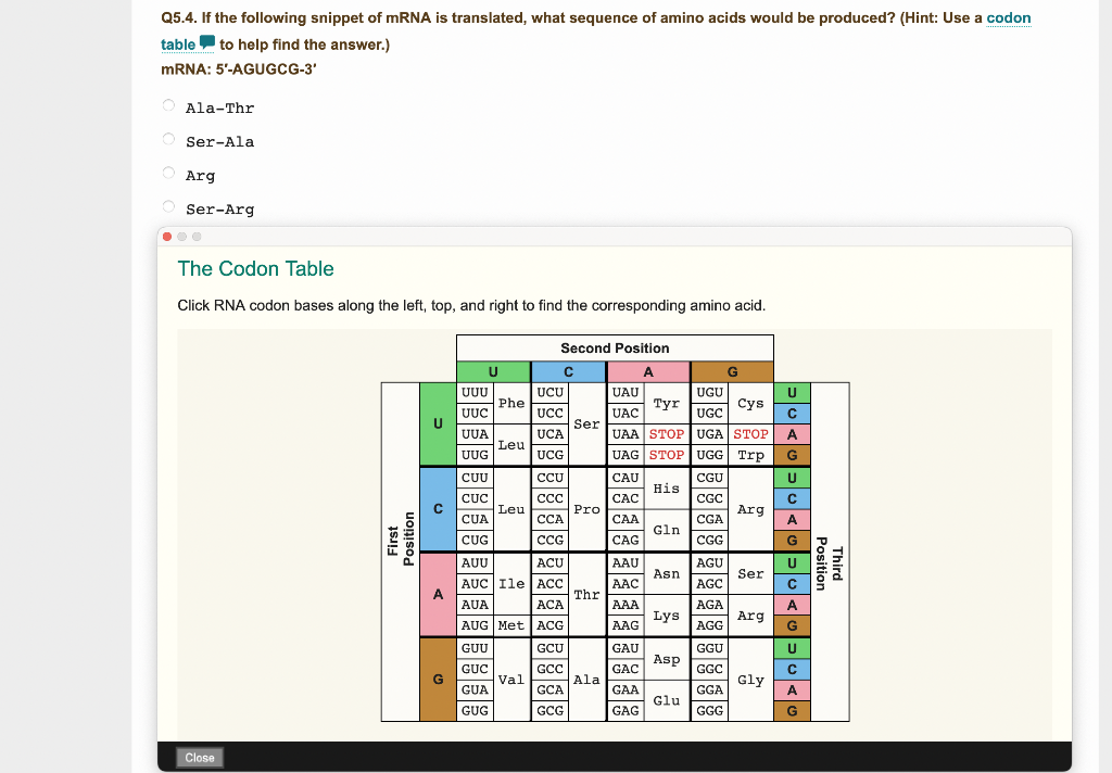 Q5 4 If The Following Snippet Of Mrna Is Translated What Sequence Of Amino Acids Would Be Produced Hint Use A Codon 1