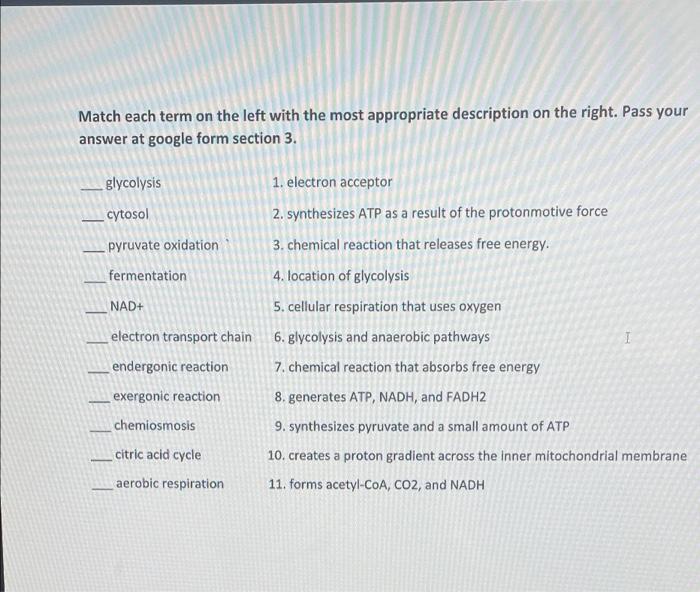 Match Each Term On The Left With The Most Appropriate Description On The Right Pass Your Answer At Google Form Section 1