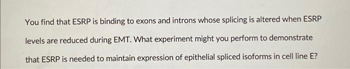 You Find That Esrp Is Binding To Exons And Introns Whose Splicing Is Altered When Esrp Levels Are Reduced During Emt Wh 1