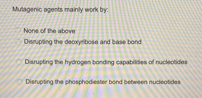Mutagenic Agents Mainly Work By None Of The Above Disrupting The Deoxyribose And Base Bond Disrupting The Hydrogen Bond 1