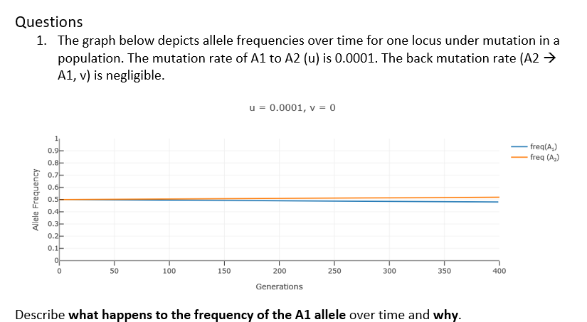 Questions 1 The Graph Below Depicts Allele Frequencies Over Time For One Locus Under Mutation In A Population The Muta 1