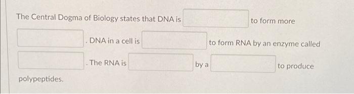 The Central Dogma Of Biology States That Dna Is Dna In A Cell Is The Rna Is Polypeptides To Form More To Form Rna By An 1