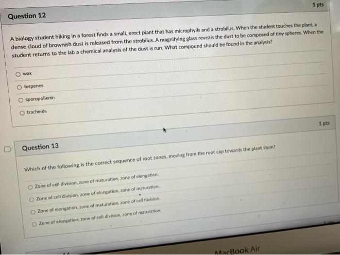 Question 12 1 Pts A Biology Student Hiking In A Forest Finds A Small Erect Plant That Has Microphylls And A Strobilus 1