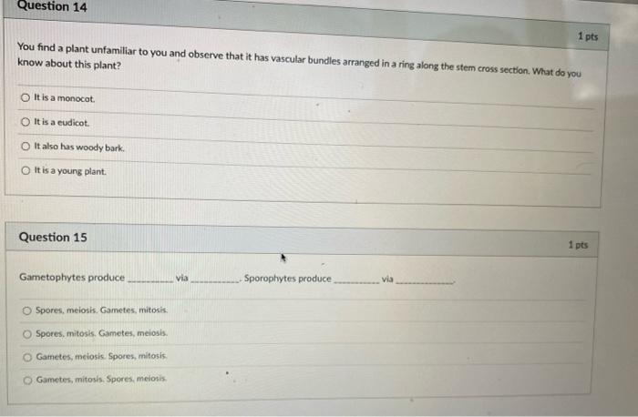 Question 14 1 Pts You Find A Plant Unfamiliar To You And Observe That It Has Vascular Bundles Arranged In A Ring Along T 1
