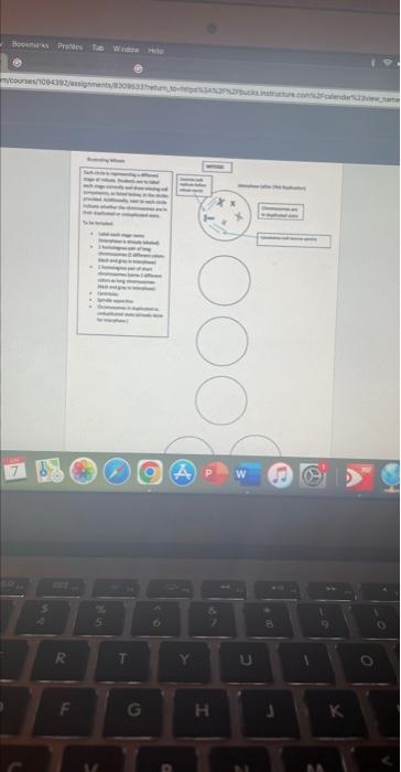 Bookmarks Prandes Tuo Widow H M Courses 1094392 Assignments 8309533 10 S 4 R F 5 T G A Y 7 H U B K O Instructure Com 1