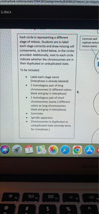 Bookmarks Prandes Tuo Widow H M Courses 1094392 Assignments 8309533 10 S 4 R F 5 T G A Y 7 H U B K O Instructure Com 3