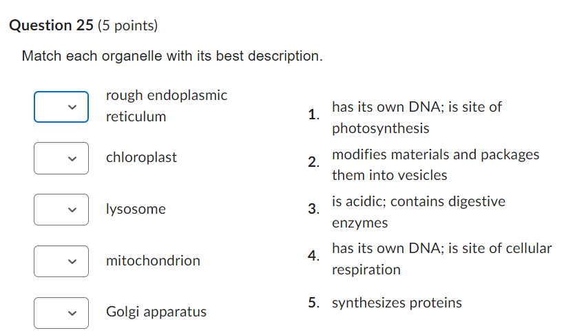 Match Each Organelle With Its Best Description 1