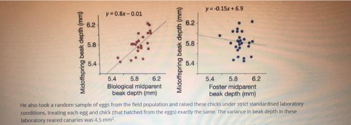 Information An Ornithologist Is Studying Beak Depth In Canaries By Doing A Number Of Field And Laboratory Experiments H 8