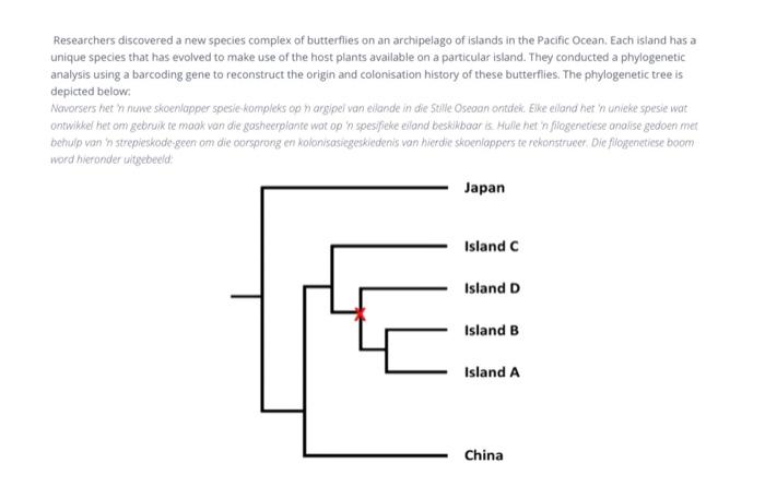 Researchers Discovered A New Species Complex Of Butterflies On An Archipelago Of Islands In The Pacific Ocean Each Isla 1
