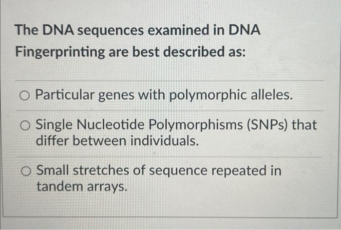 The Dna Sequences Examined In Dna Fingerprinting Are Best Described As Particular Genes With Polymorphic Alleles O Sin 1