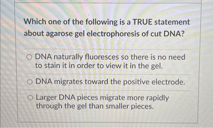 The Dna Sequences Examined In Dna Fingerprinting Are Best Described As Particular Genes With Polymorphic Alleles O Sin 2
