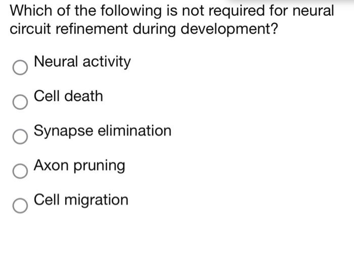 Which Of The Following Is Not Required For Neural Circuit Refinement During Development Neural Activity Cell Death Syna 1