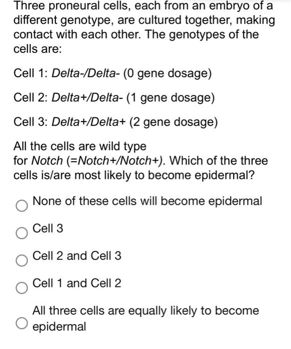The Accompanying Diagram Shows The Differentiation Of Osteoblasts From Mesenchymal Progenitor Cells These Mesenchymal P 2