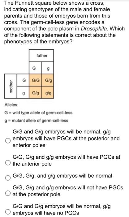 The Punnett Square Below Shows A Cross Indicating Genotypes Of The Male And Female Parents And Those Of Embryos Born Fr 1