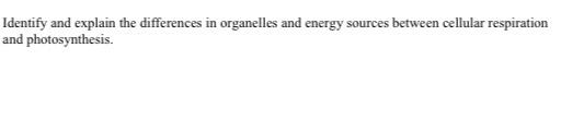 Identify And Explain The Differences In Organelles And Energy Sources Between Cellular Respiration And Photosynthesis 1