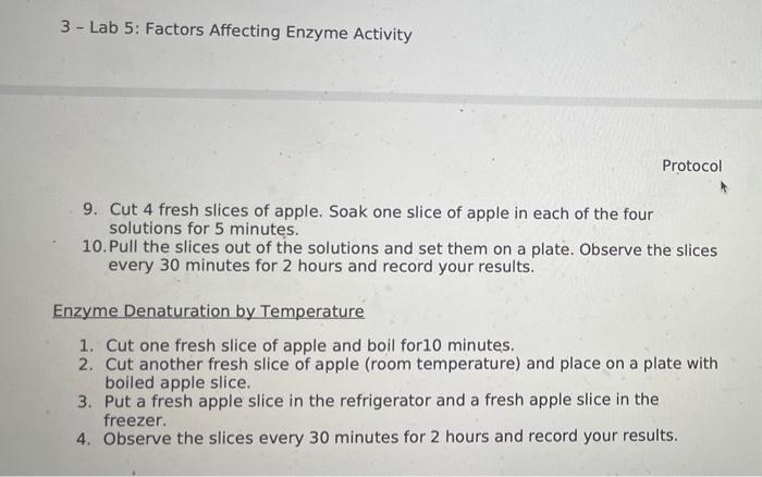 Automatic Zoom View As Te Enzyme Activity Part B 2 Lab 5 Factors Affecting Enzyme Activity Protocol In This Exercise 3