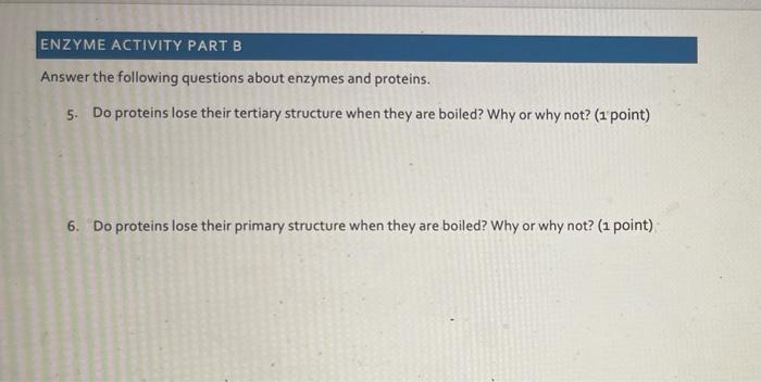 Automatic Zoom View As Te Enzyme Activity Part B 2 Lab 5 Factors Affecting Enzyme Activity Protocol In This Exercise 4