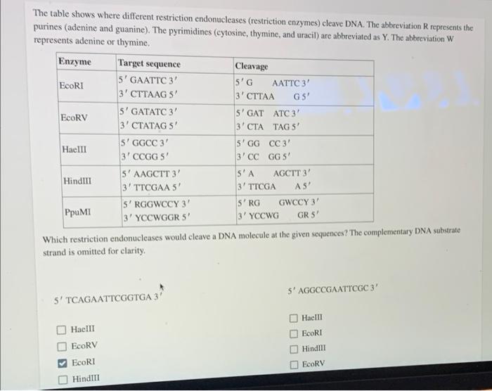 The Table Shows Where Different Restriction Endonucleases Restriction Enzymes Cleave Dna The Abbreviation R Represent 1