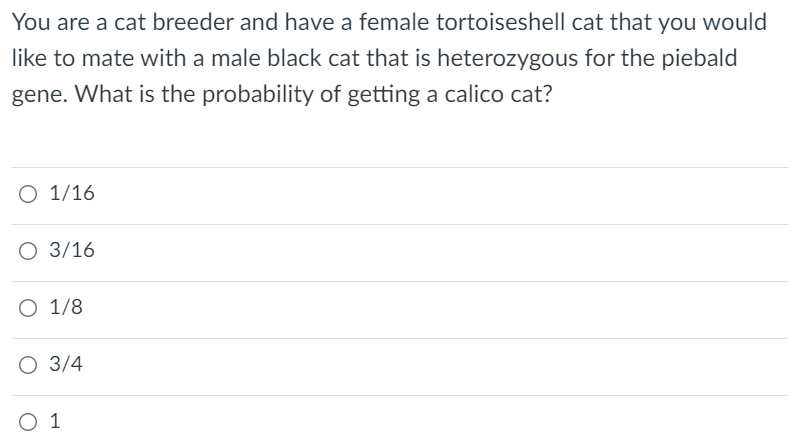 You Are A Cat Breeder And Have A Female Tortoiseshell Cat That You Would Like To Mate With A Male Black Cat That Is Hete 1