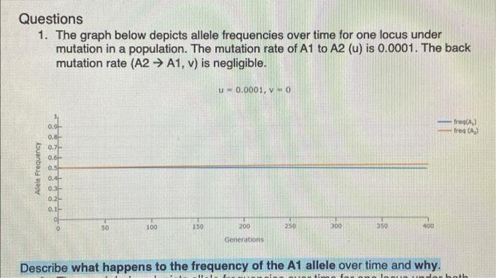 Questions 1 The Graph Below Depicts Allele Frequencies Over Time For One Locus Under Mutation In A Population The Muta 1