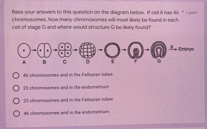 1 Point Base Your Answers To This Question On The Diagram Below If Cell A Has 46 Chromosomes How Many Chromosomes Wi 1