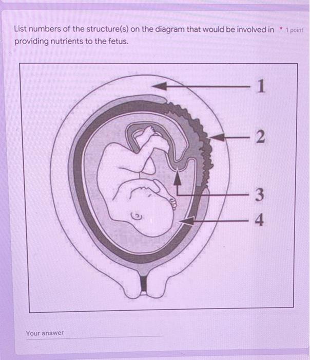 Which Extra Embryonic Membrane Makes Up The Fetal Part Of The Placenta 1 Point Chorion O Amnion Yolk Sac Allantois List 2