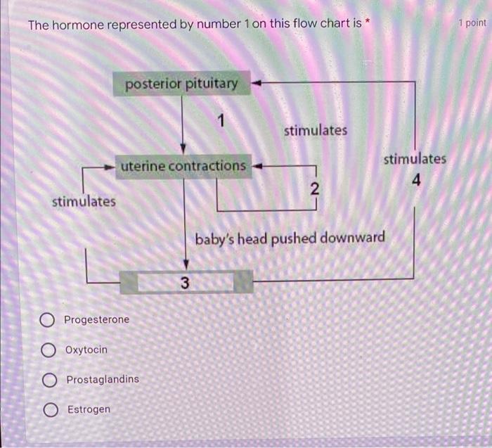 The Hormone Represented By Number 1 On This Flow Chart Is Posterior Pituitary 1 Stimulates Uterine Contractions 2 Baby 1