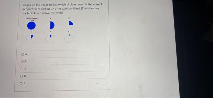 Based On The Image Below Which Circle Represents The Correct Proportion Of Carbon 14 After Two Half Lives The Labels 1