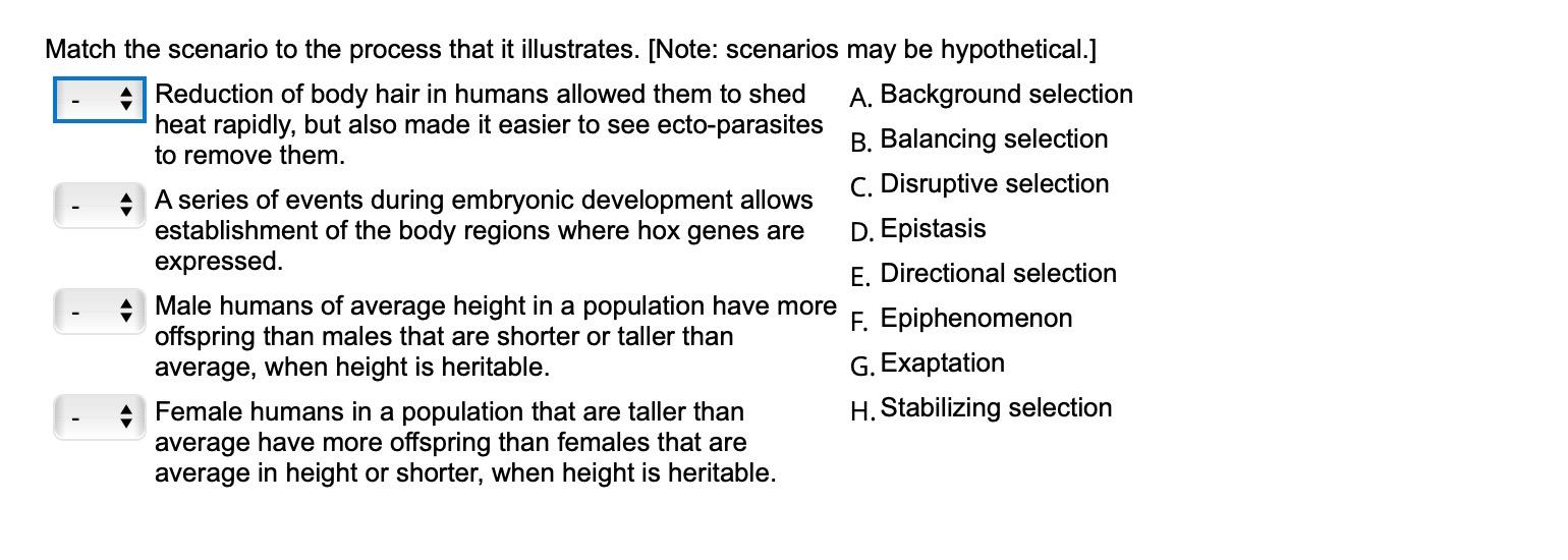 Match The Scenario To The Process That It Illustrates Note Scenarios May Be Hypothetical Reduction Of Body Hair In 1