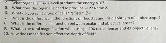 4 What Organelle Inside A Cell Produces The Energy Atp 5 What Does This Organelle Need To Produce Atp Name 2 6 Wha 1
