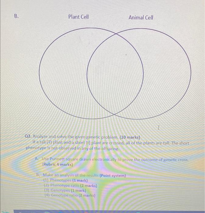 General Instruction Upload In Moodle As Pdf Document Before The Closing Time Q1 Use The Venn Diagram Drawn Below To C 2