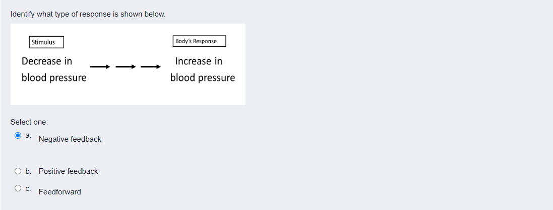 Identify What Type Of Response Is Shown Below Stimulus Decrease In Blood Pressure Select One O A Negative Feedback O 1