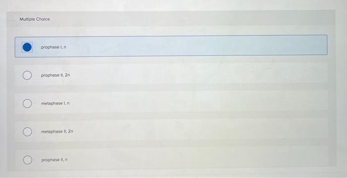 For The Figure Shown Here Indicate The Correct Stage Of Meiosis And The Whether The Cell Is Haploid N Or Diploid 2n 2