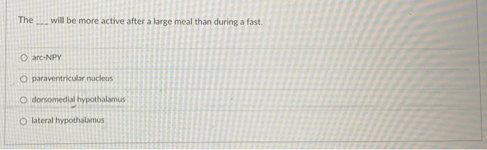 The Will Be More Active After A Large Meal Than During A Fast O Arc Npy O Paraventricular Nucleus O Dorsomedial Hypotha 1