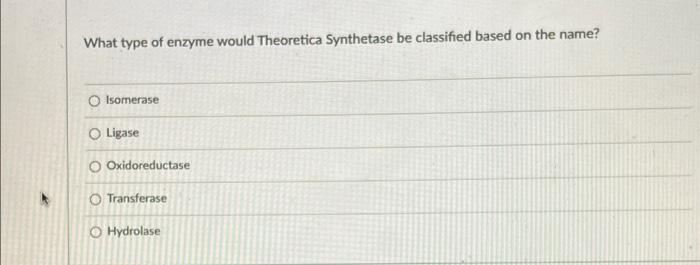What Type Of Enzyme Would Theoretica Synthetase Be Classified Based On The Name O Isomerase O Ligase O Oxidoreductase T 1