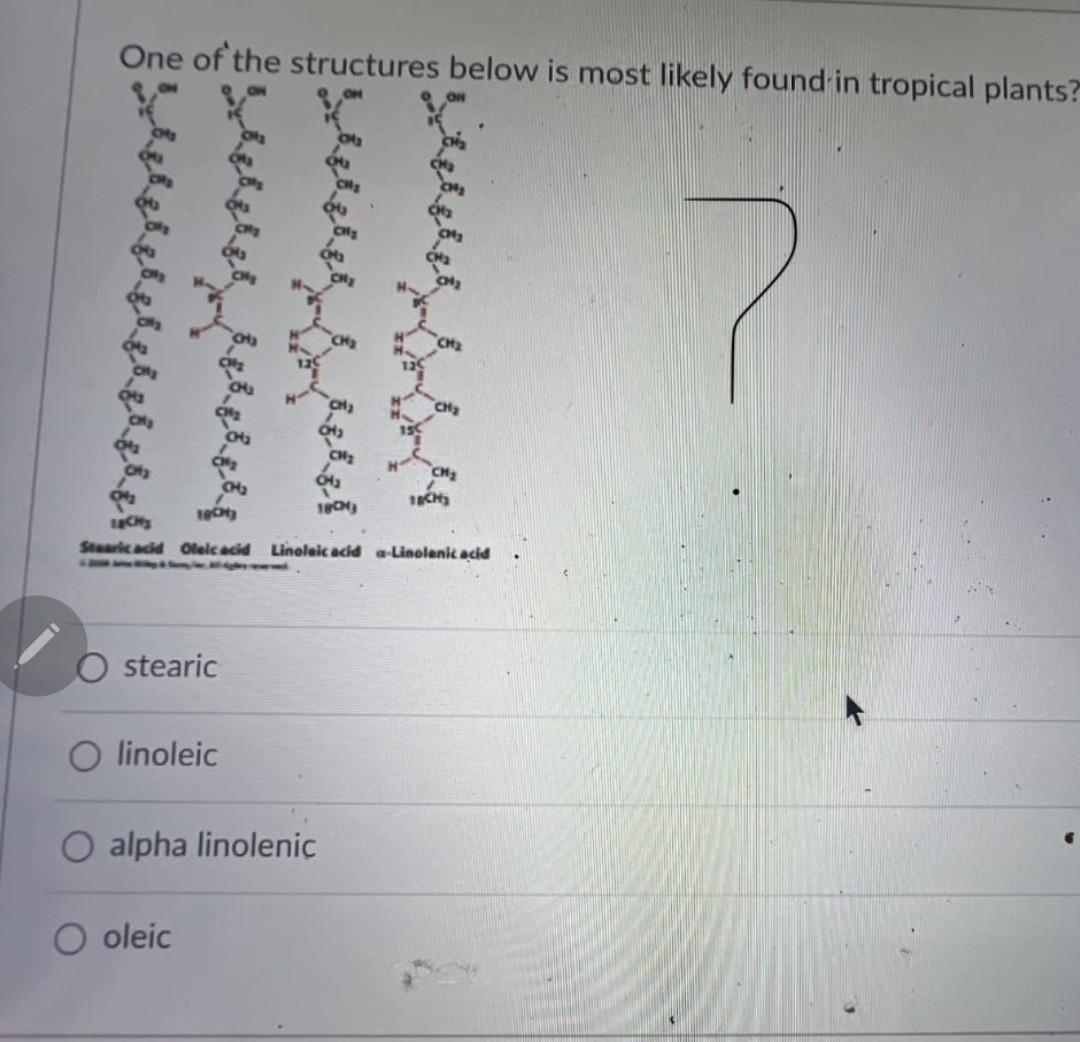One Of The Structures Below Is Most Likely Found In Tropical Plants 7 Ch 18cm3 18ch 18cm Stearic Acid Oleic Acid Lino 1