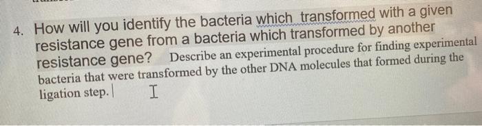 4 How Will You Identify The Bacteria Which Transformed With A Given Resistance Gene From A Bacteria Which Transformed B 1