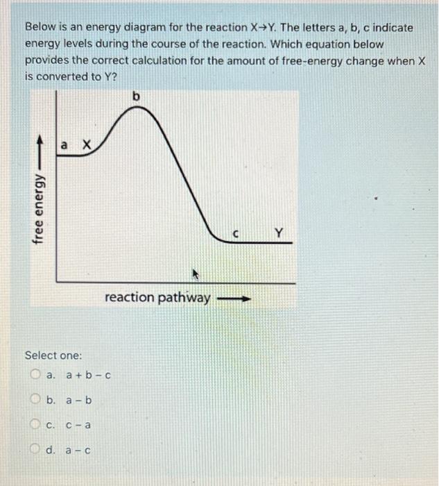 Below Is An Energy Diagram For The Reaction X Y The Letters A B C Indicate Energy Levels During The Course Of The Rea 1